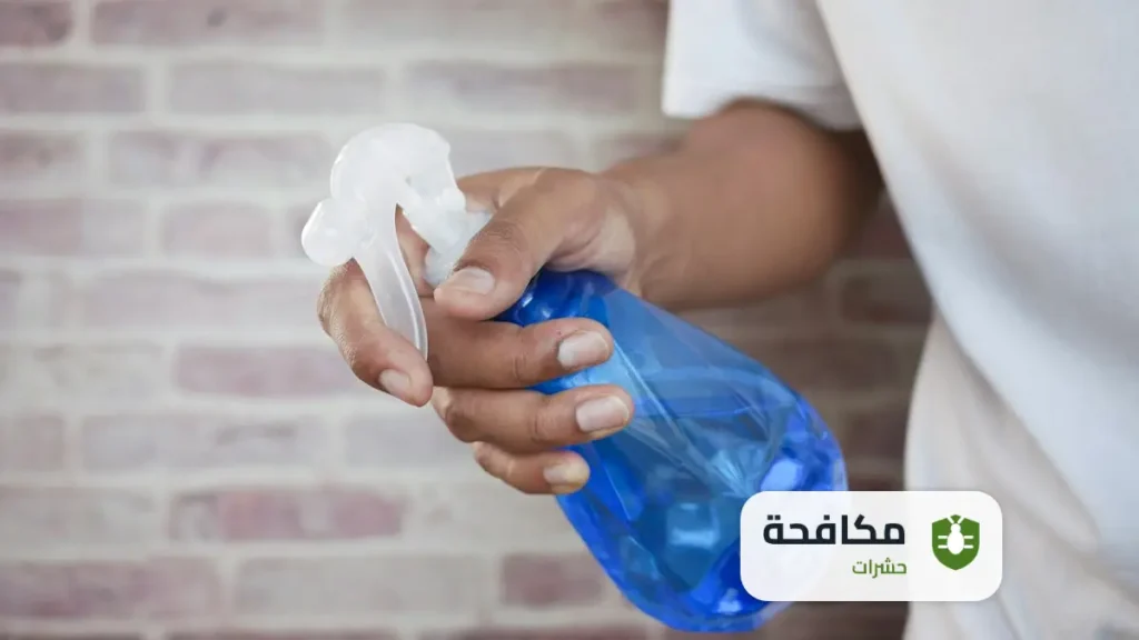 شركة مكافحة الصراصير بالرياض
