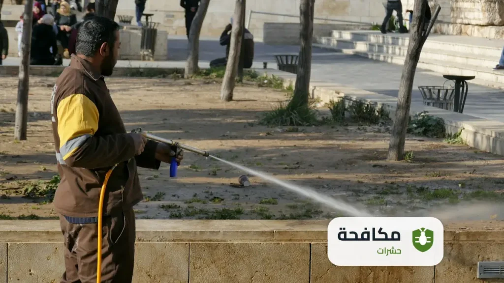 مكافحة الحشرات بالرياض