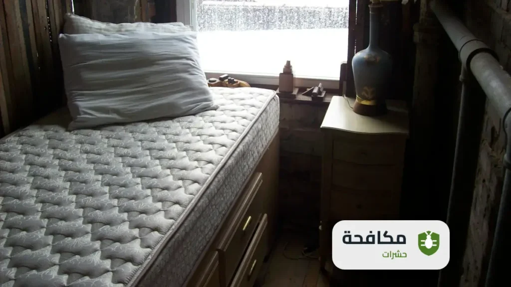 مكافحة بق الفراش