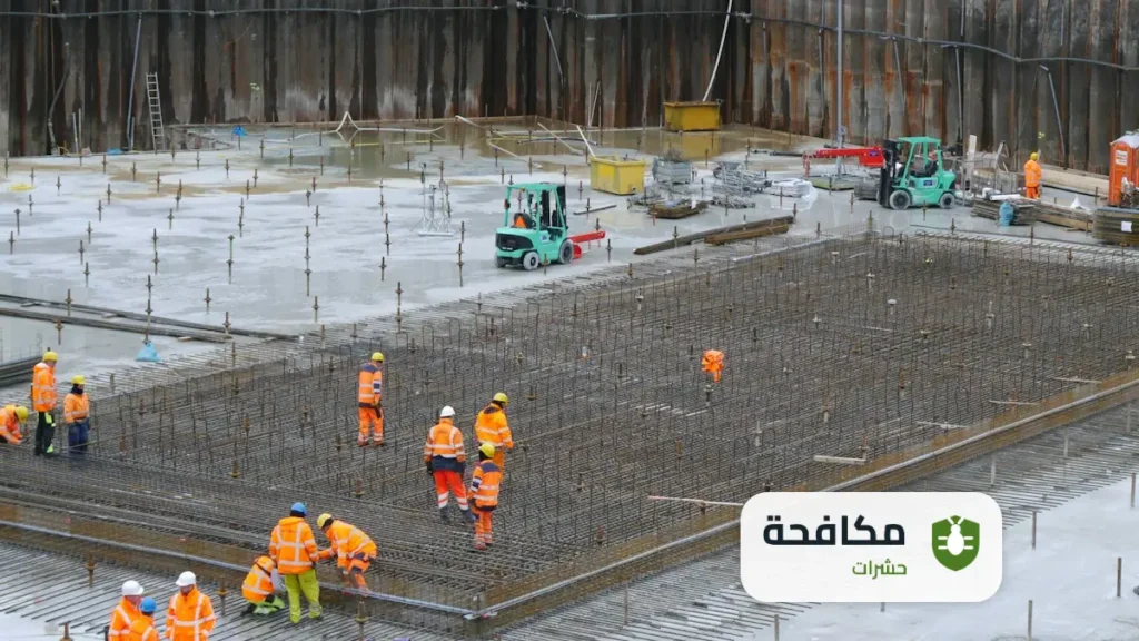 مكافحة النمل الابيض قبل البناء