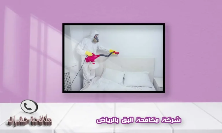شركة مكافحة البق بالرياض