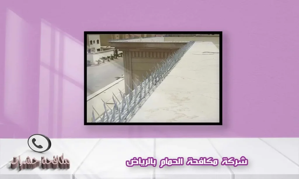 شركة مكافحة الحمام بالرياض