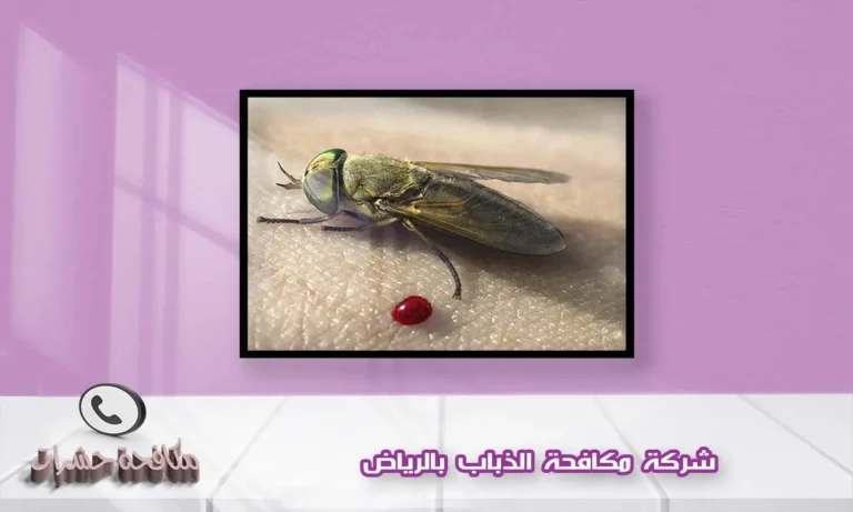 شركة مكافحة الذباب بالرياض