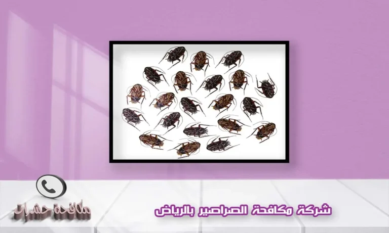 شركة مكافحة الصراصير بالرياض