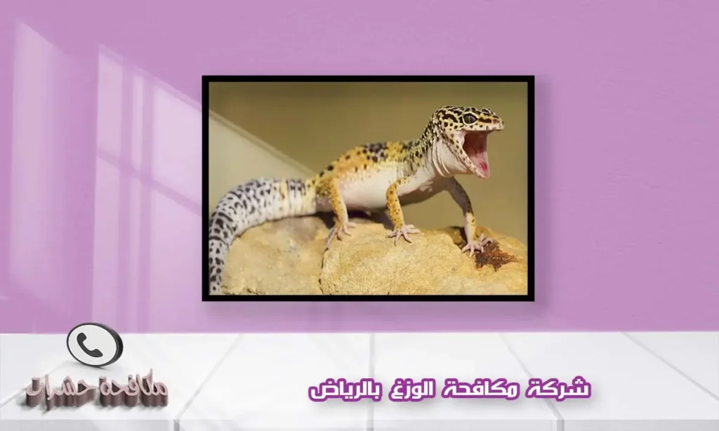 شركة مكافحة الابراص بالرياض