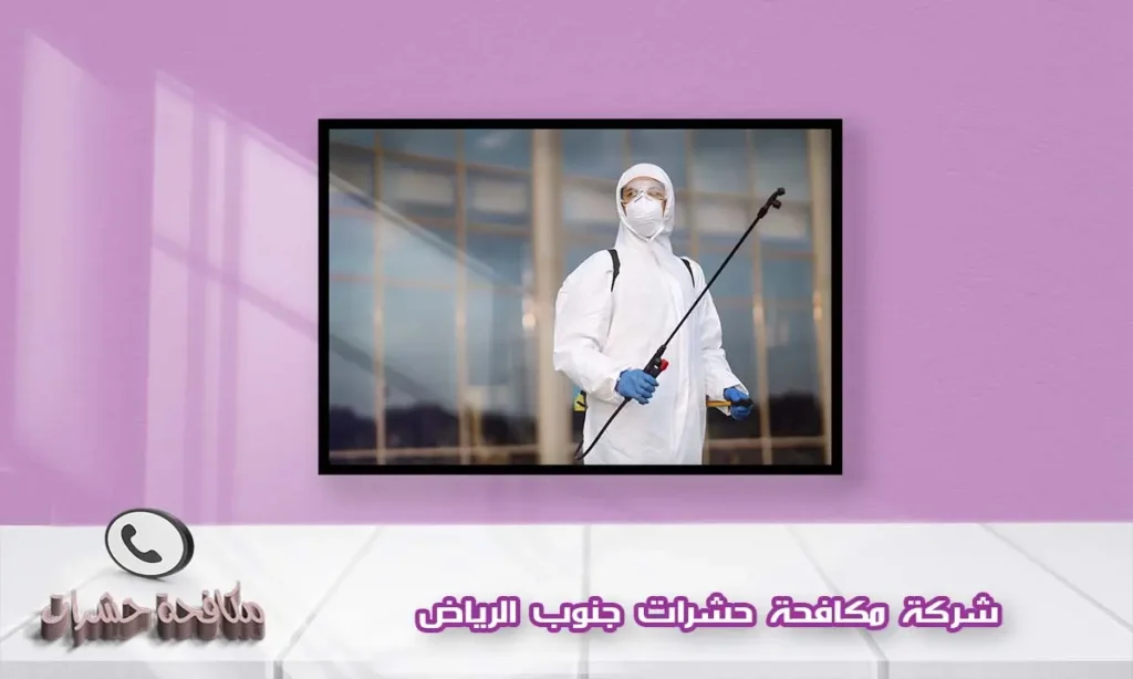 شركة مكافحة حشرات جنوب الرياض