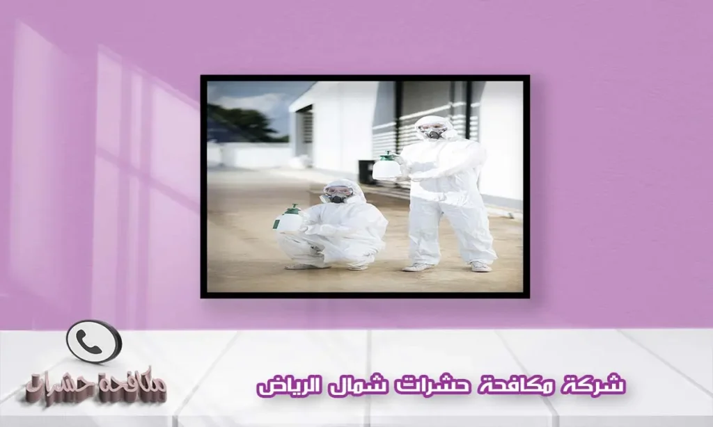 شركة مكافحة حشرات شمال الرياض
