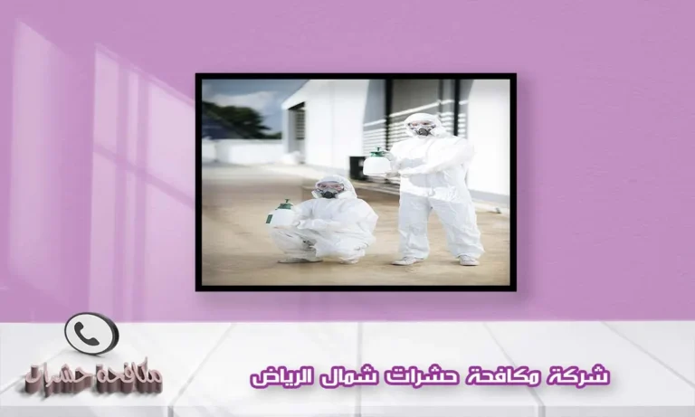 شركة مكافحة حشرات شمال الرياض