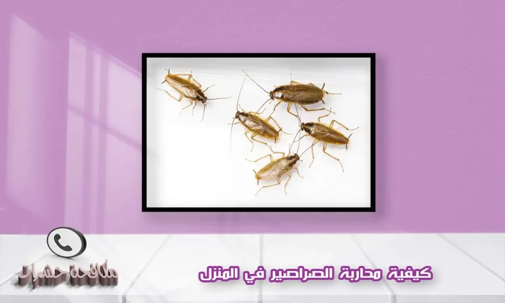 كيفية محاربة الصراصير في المنزل