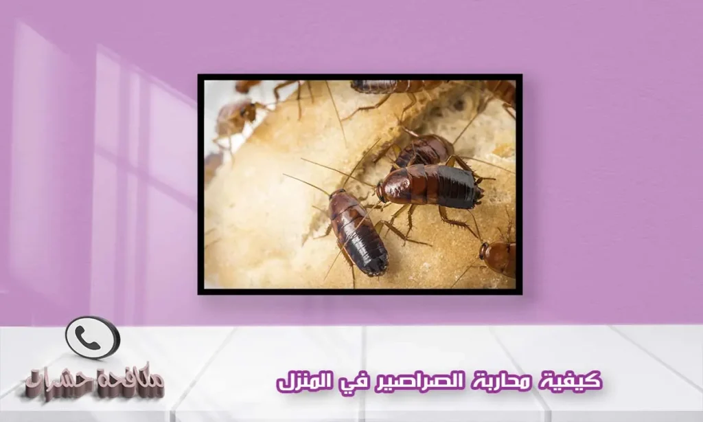 كيفية محاربة الصراصير في المنزل