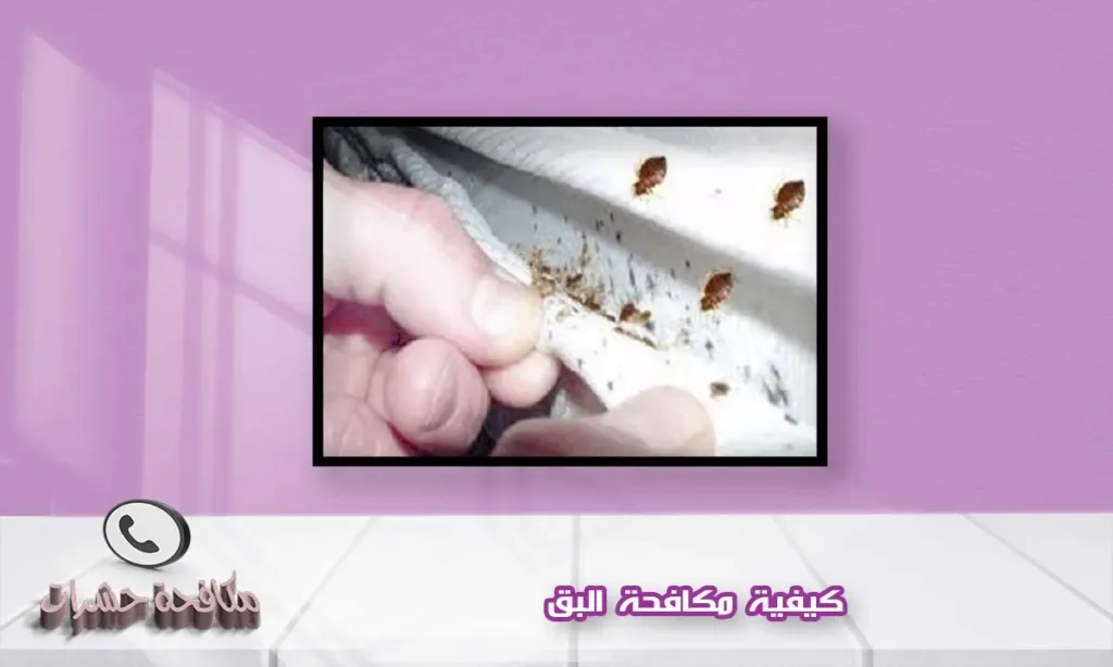 كيفية مكافحة البق