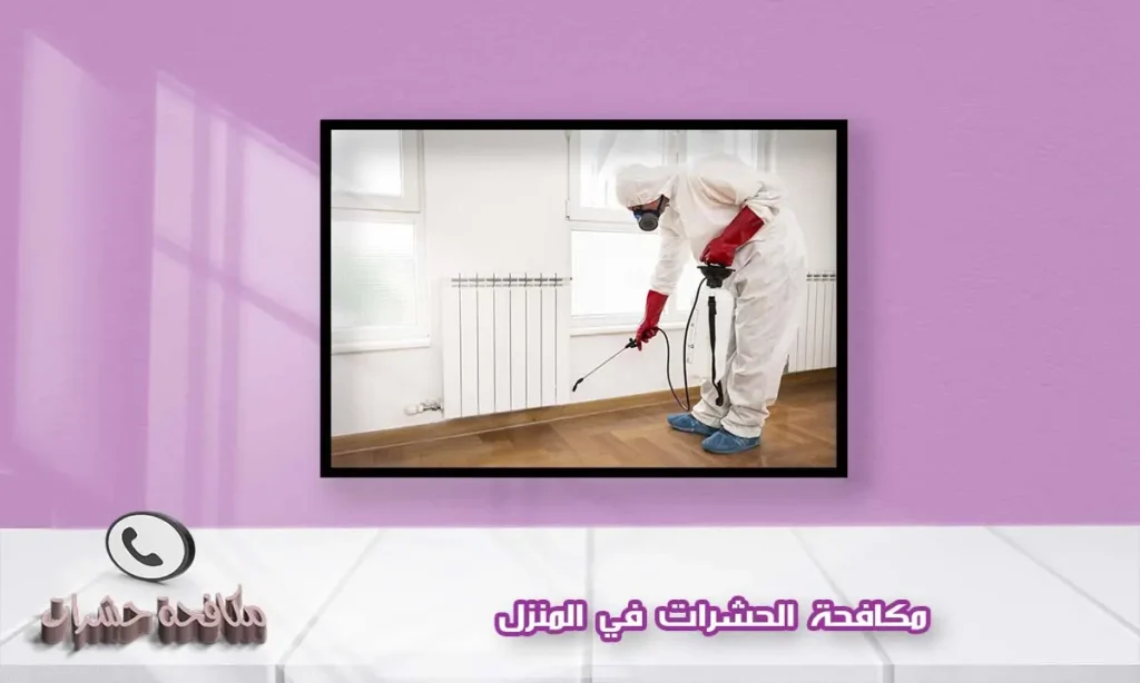 مكافحة الحشرات في المنزل