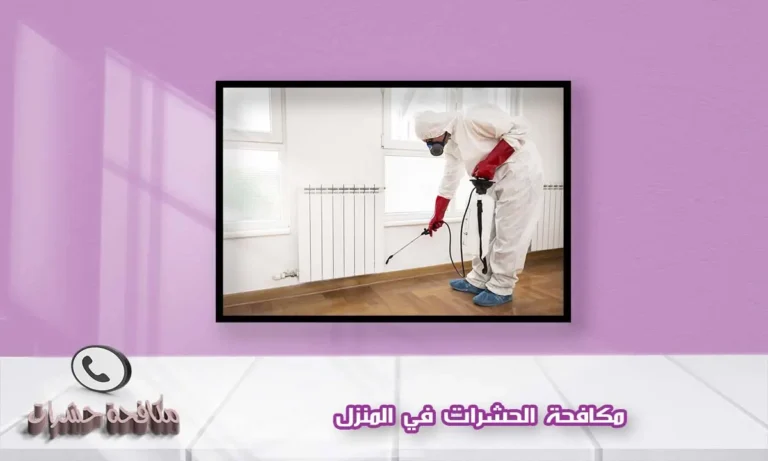 مكافحة الحشرات في المنزل