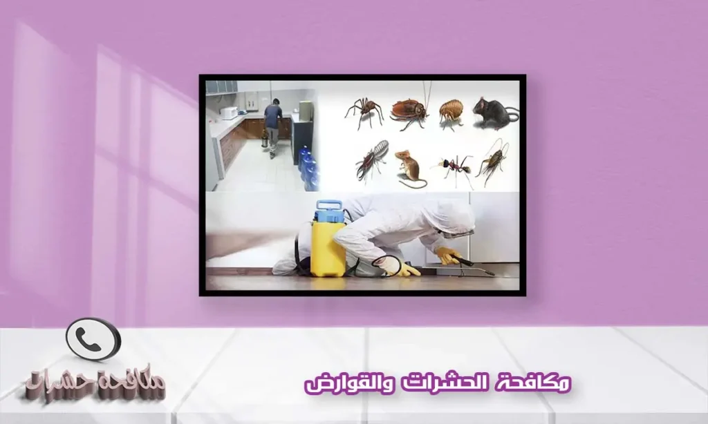 مكافحة الحشرات والقوارض