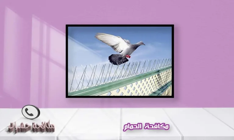 مكافحة الحمام