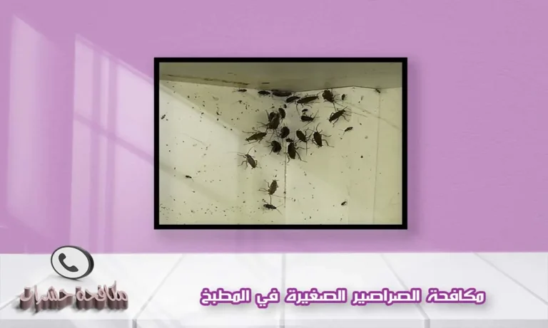 مكافحة الصراصير الصغيرة في المطبخ