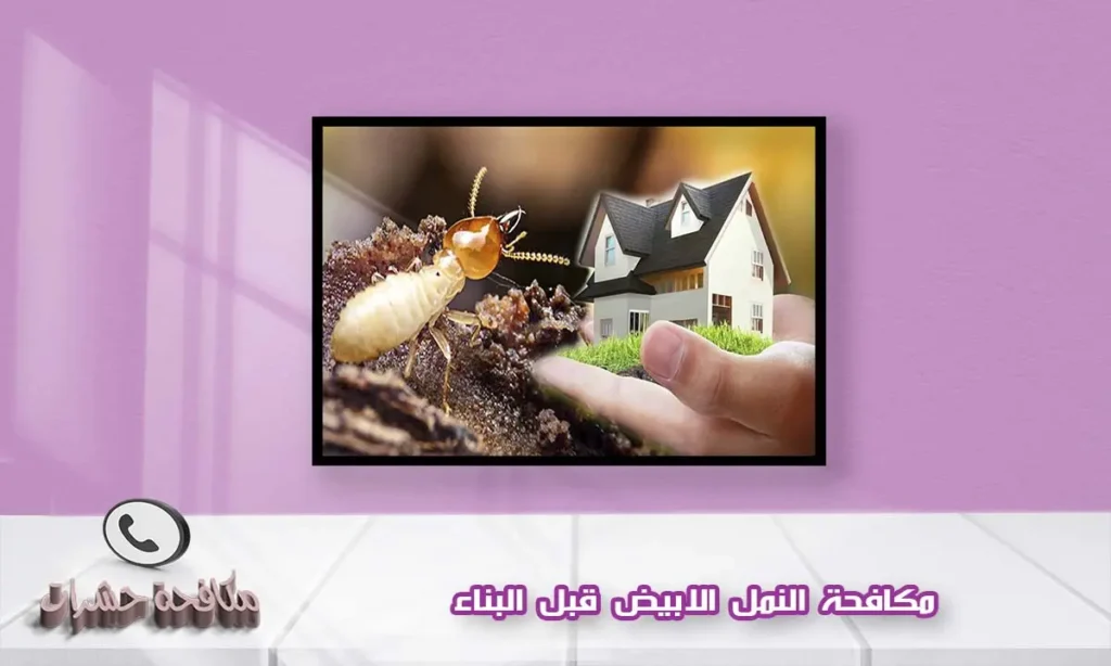 مكافحة النمل الابيض قبل البناء
