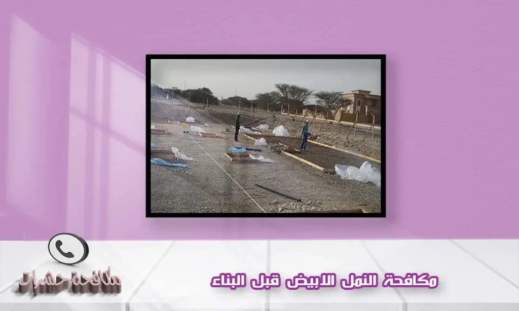 مكافحة النمل الابيض قبل البناء