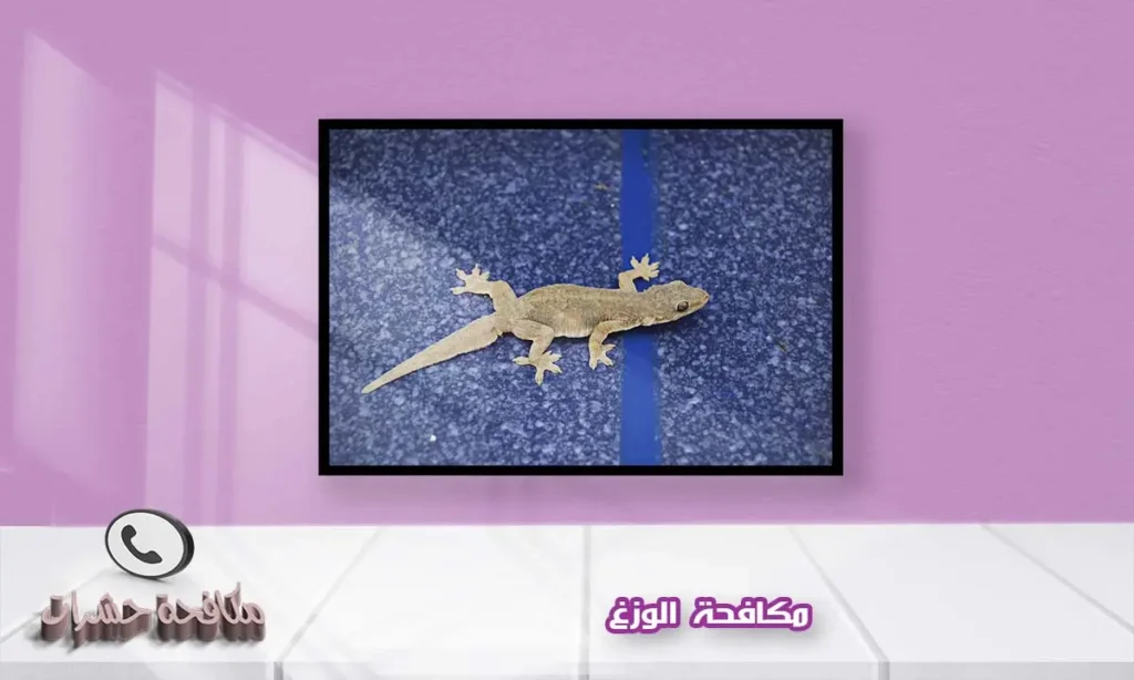 مكافحة الوزغ