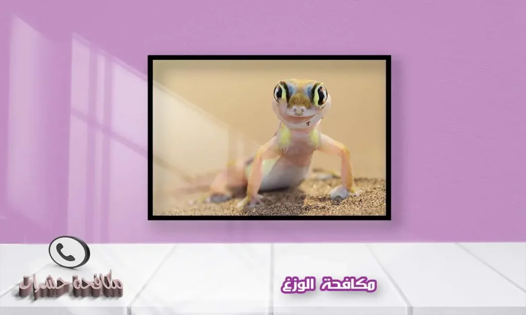 مكافحة الوزغ