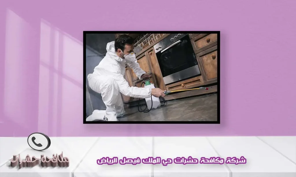 شركة مكافحة حشرات حي الملك فيصل الرياض